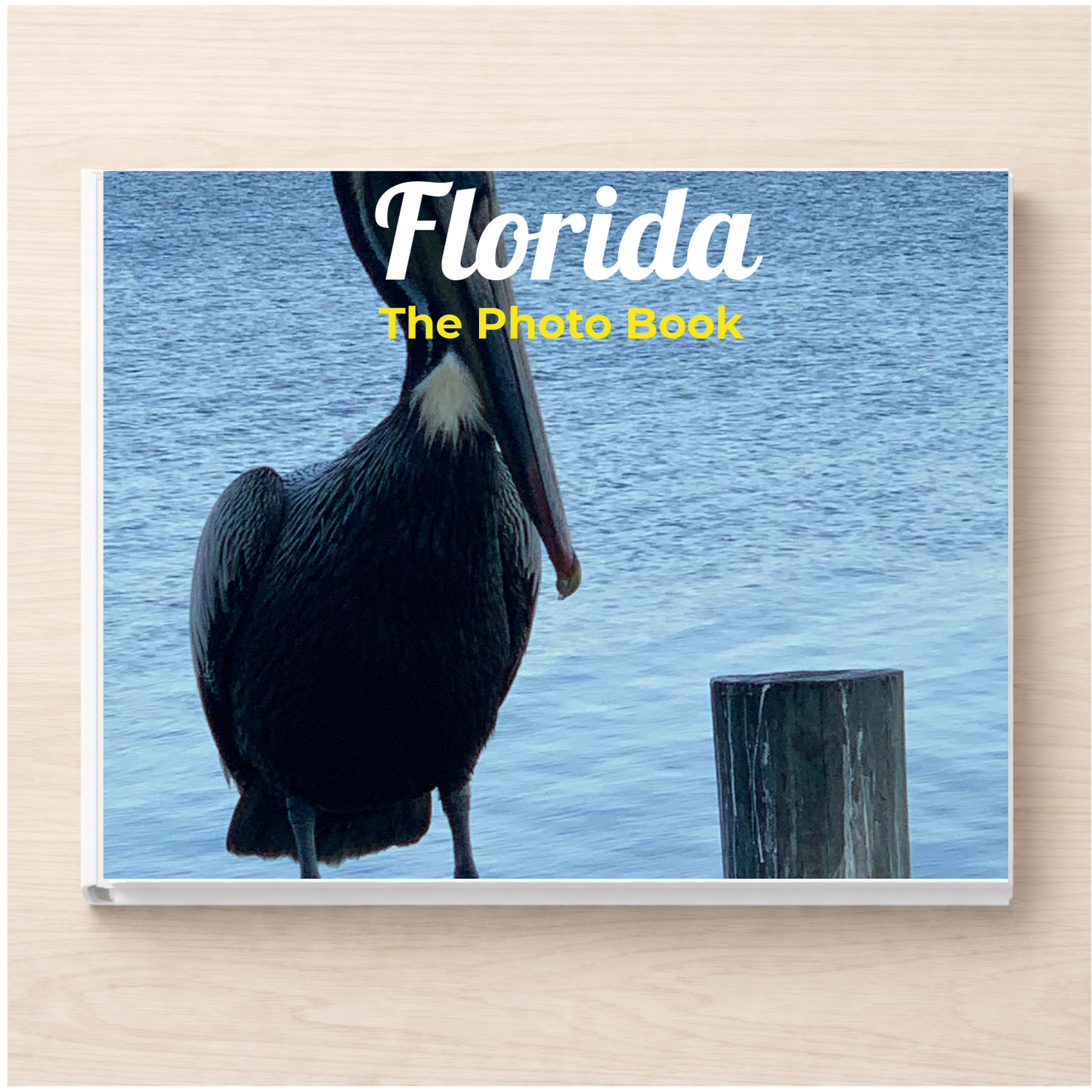 Florida: The Photo Book