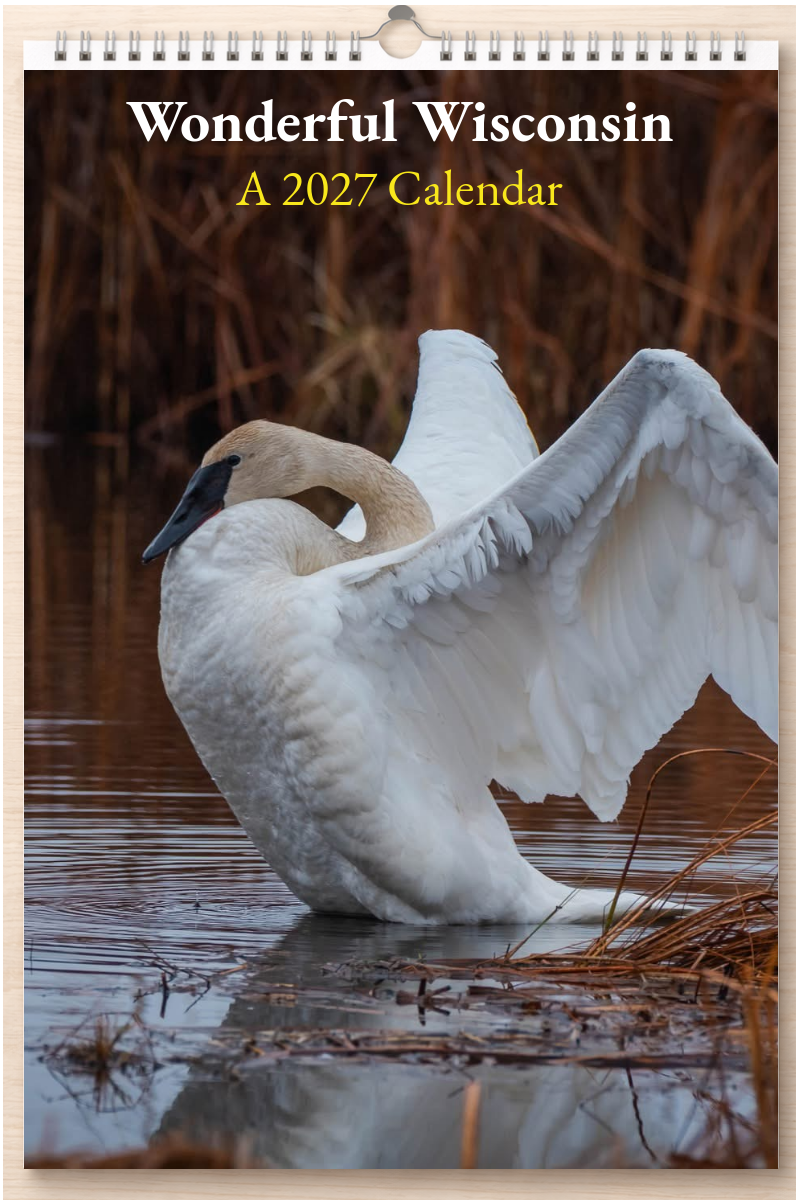 Wonderful Wisconsin: A 2027 Calendar