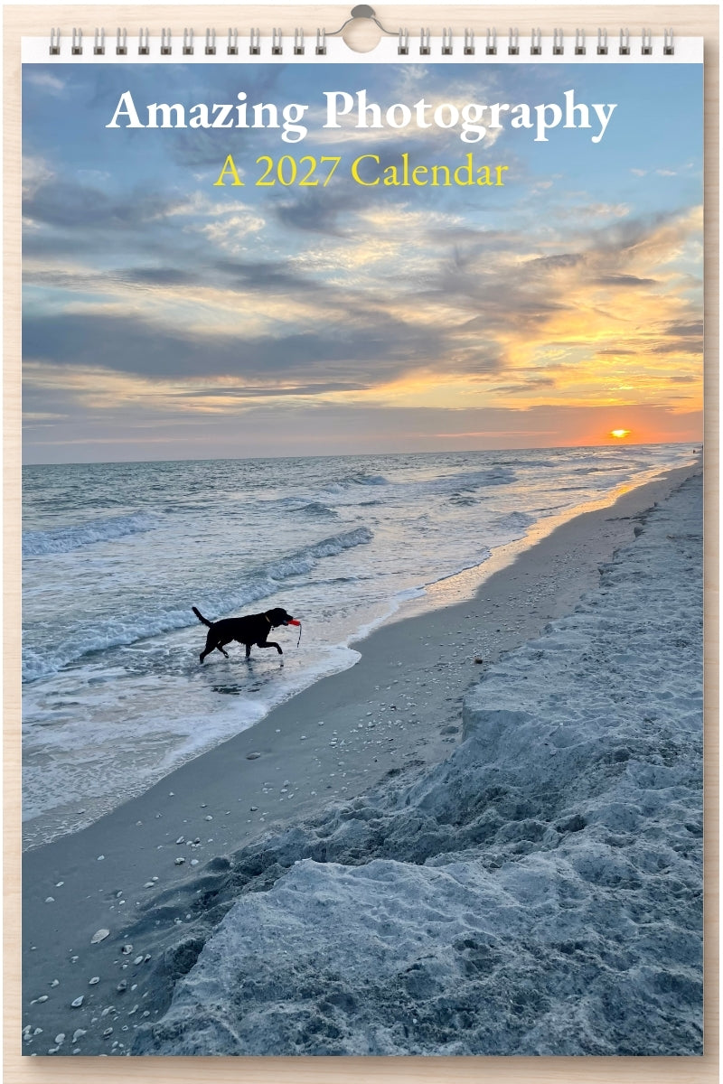 Amazing Photography: A 2027 Calendar