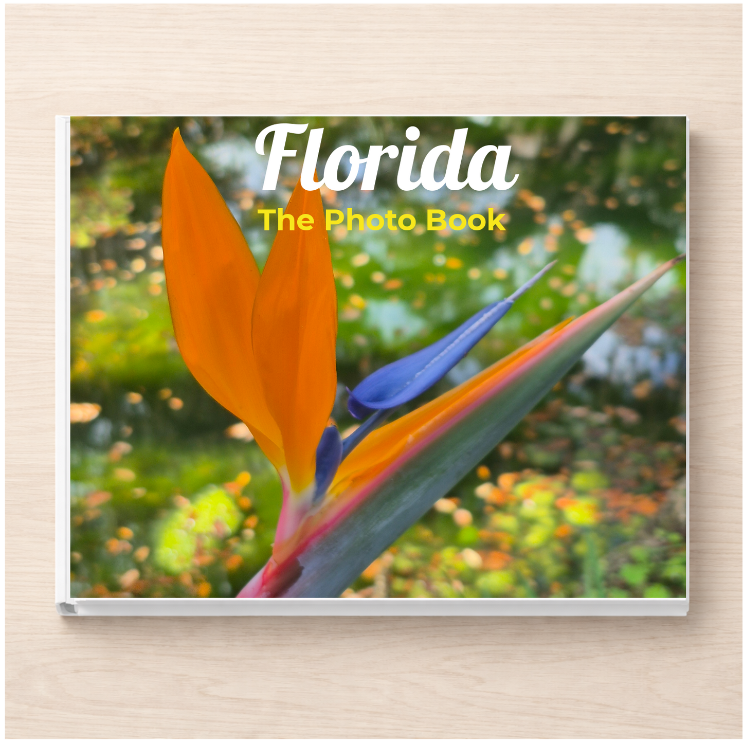 Florida: The Photo Book