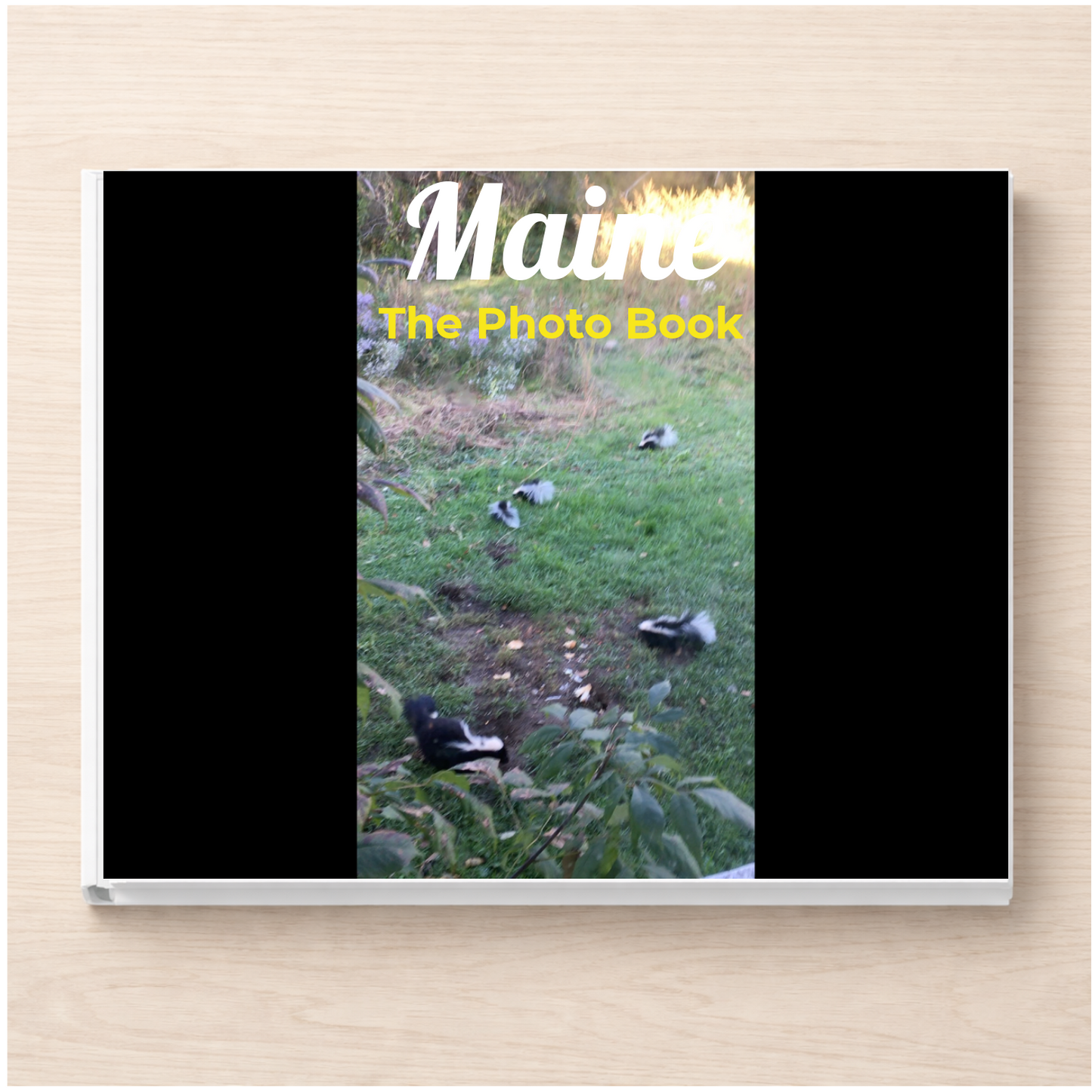 Maine: The Photo Book