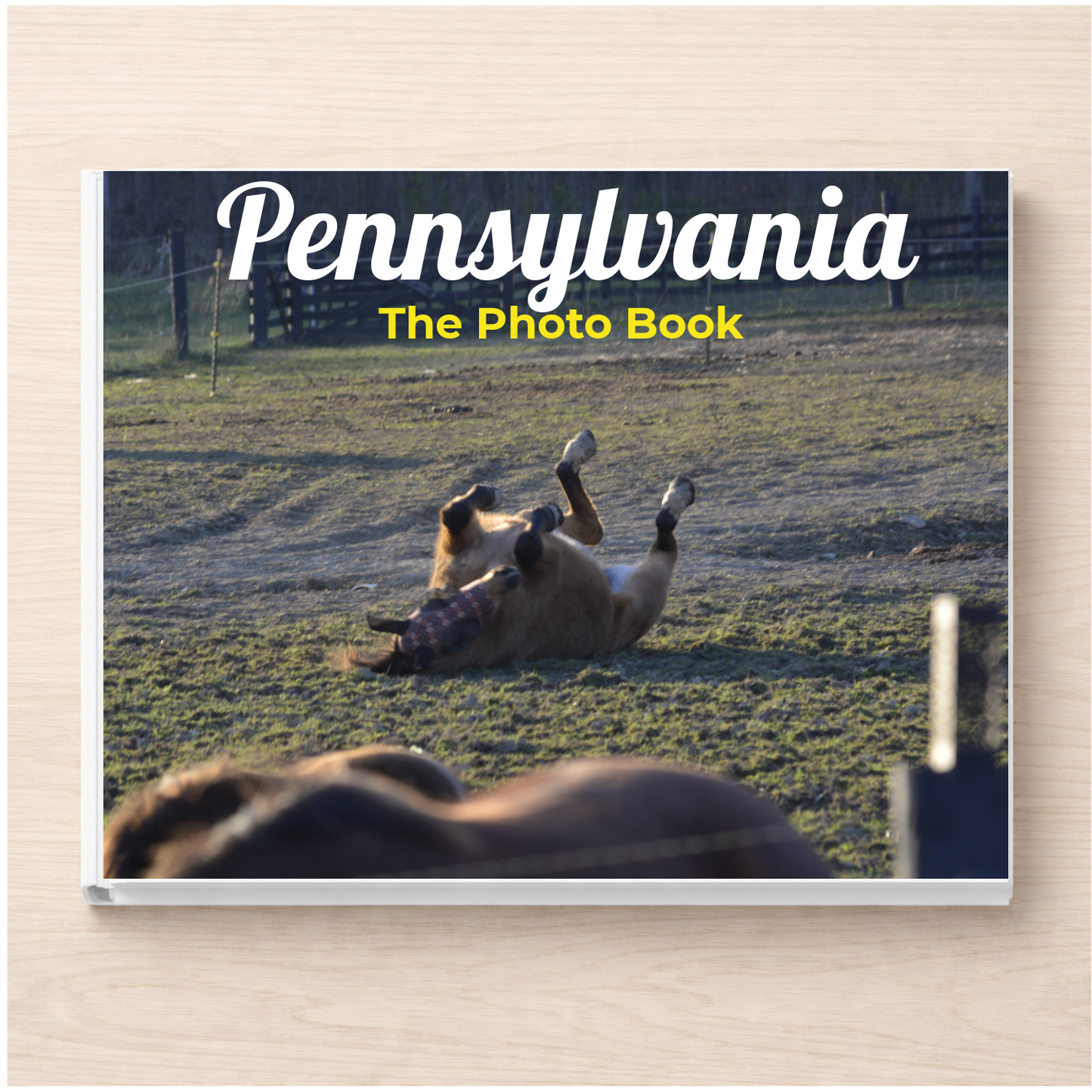 Pennsylvania: The Photo Book