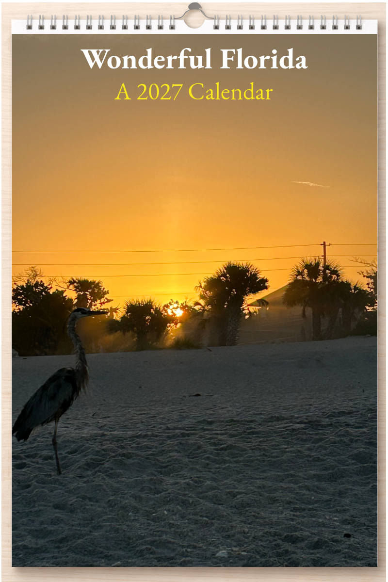Wonderful Florida: A 2027 Calendar