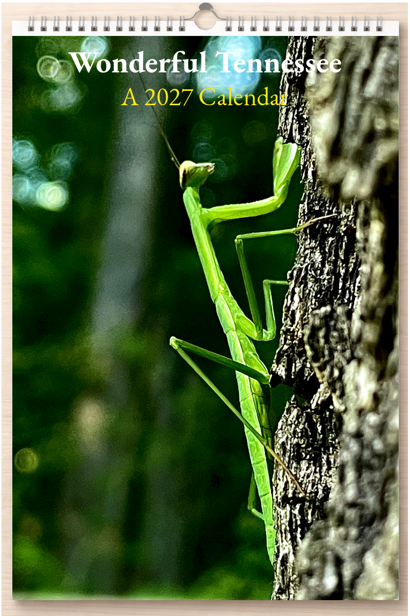 Wonderful Tennessee: A 2027 Calendar