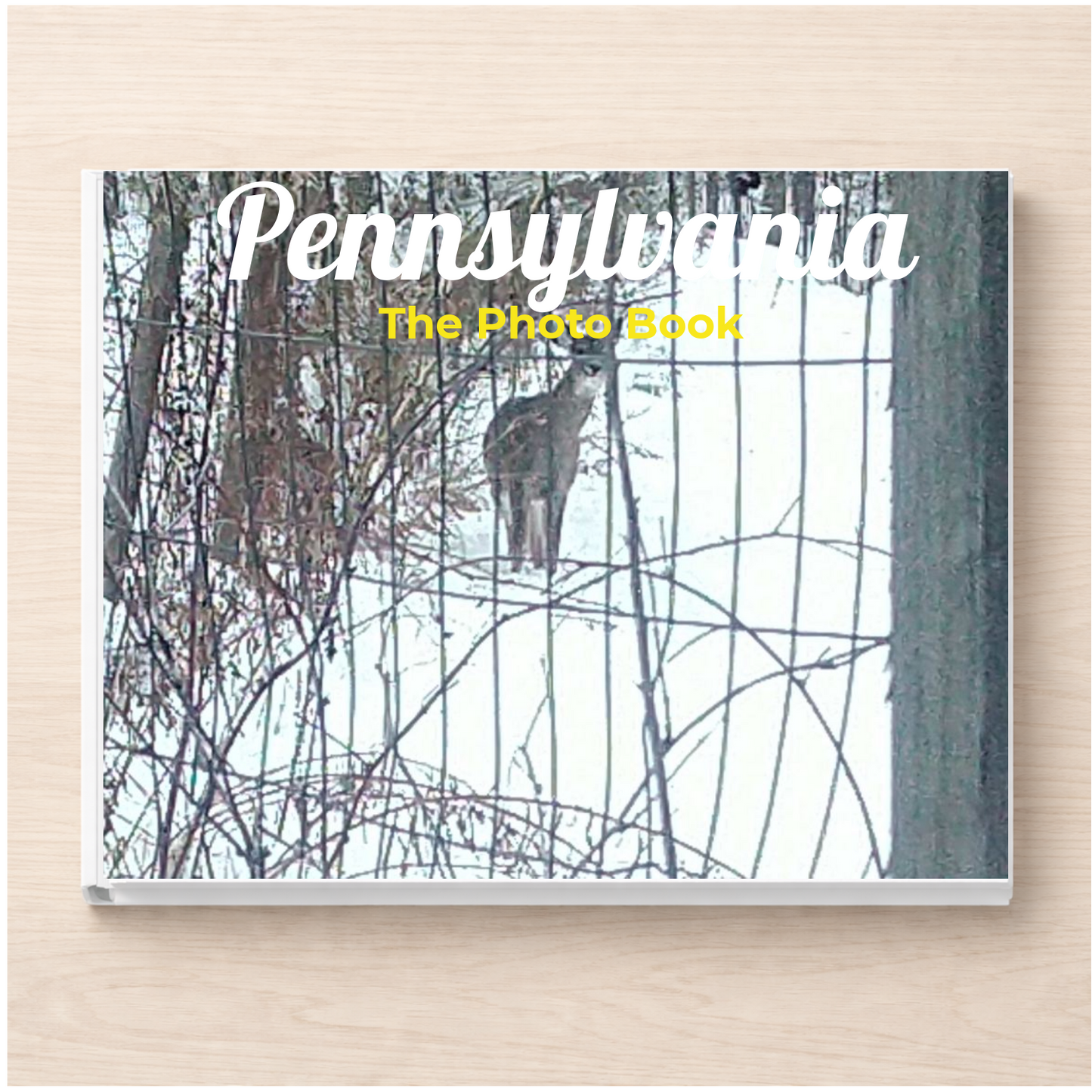 Pennsylvania: The Photo Book