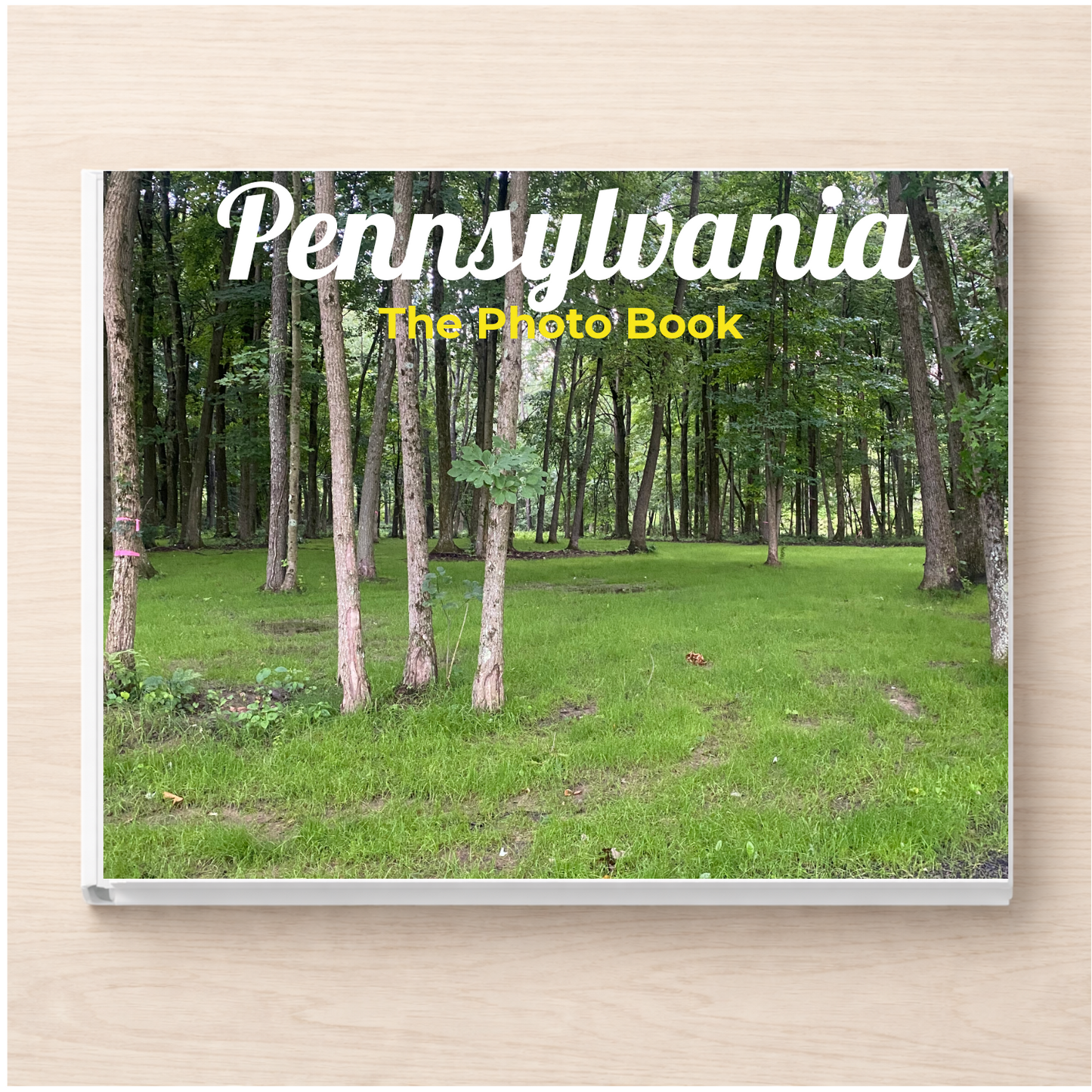 Pennsylvania: The Photo Book
