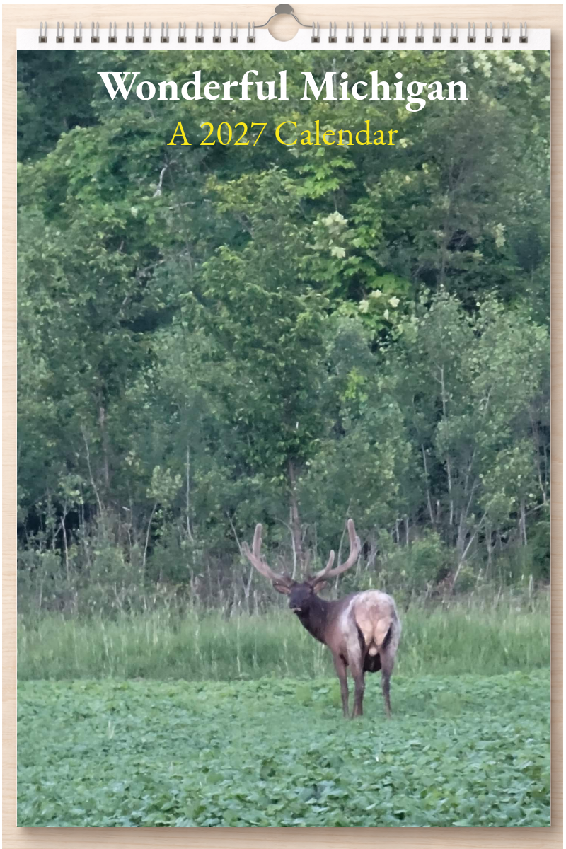 Wonderful Michigan: A 2027 Calendar