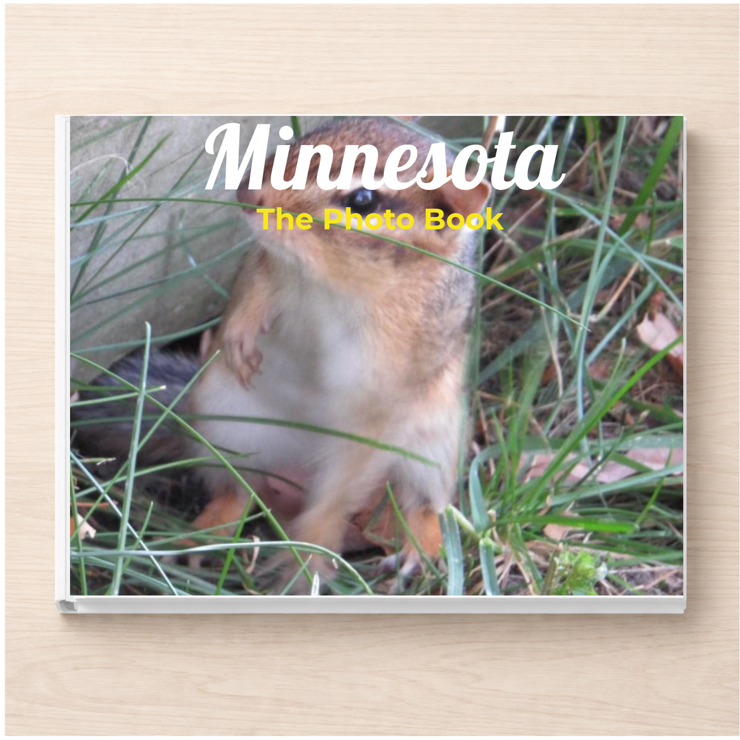 Minnesota: The Photo Book