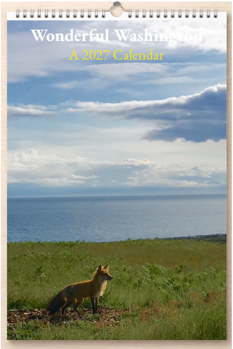 Wonderful Washington: A 2027 Calendar