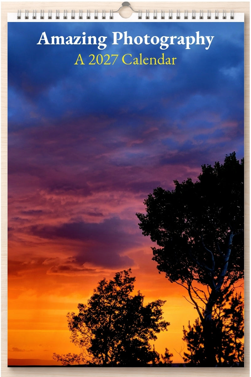 Amazing Photography: A 2027 Calendar