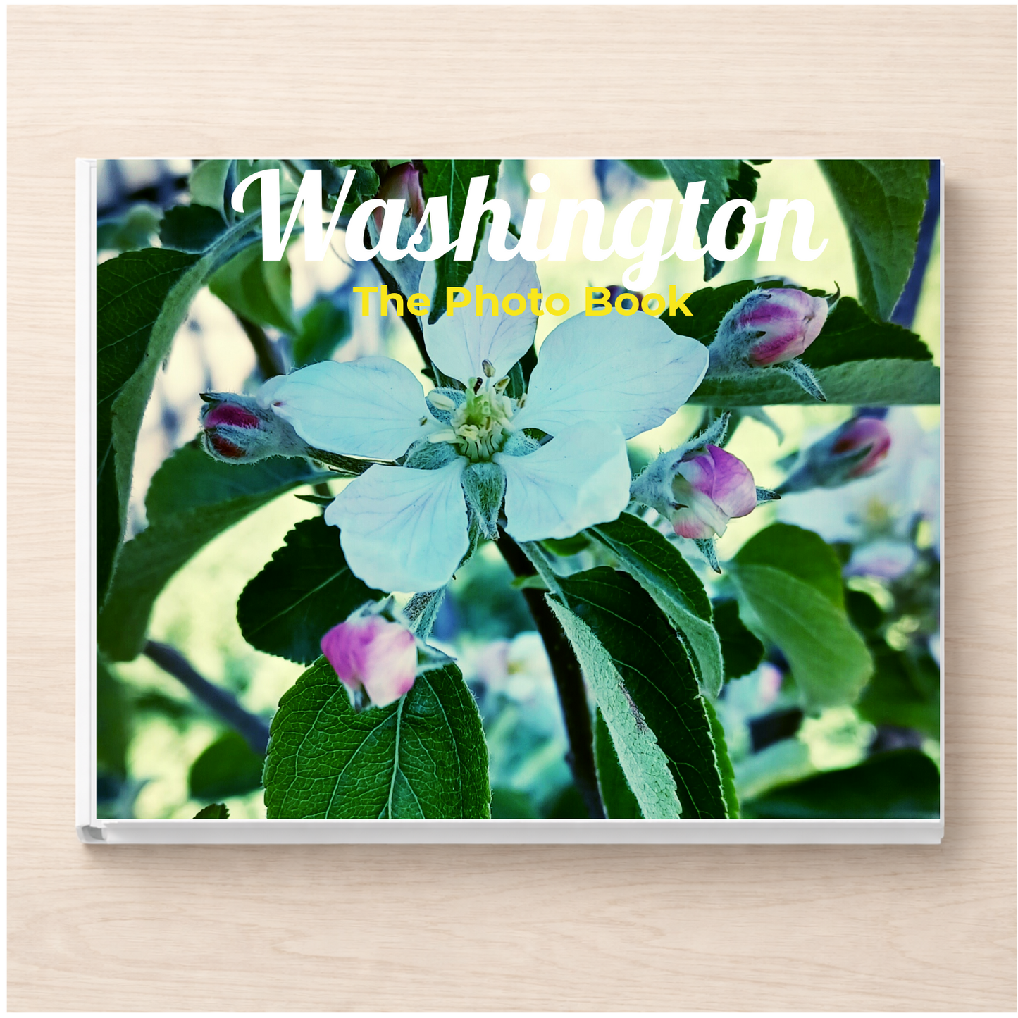 Washington: The Photo Book