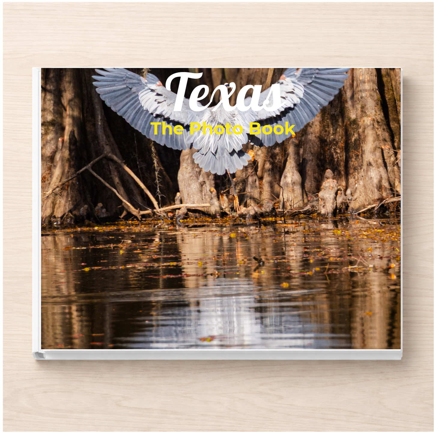 Texas: The Photo Book