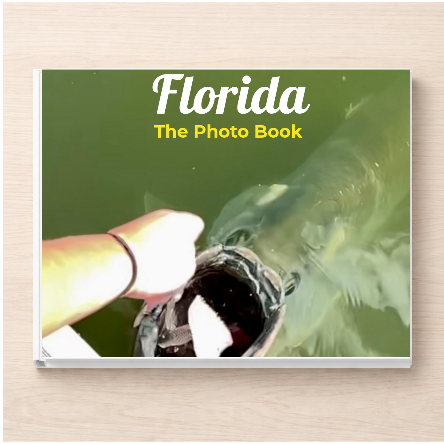 Florida: The Photo Book