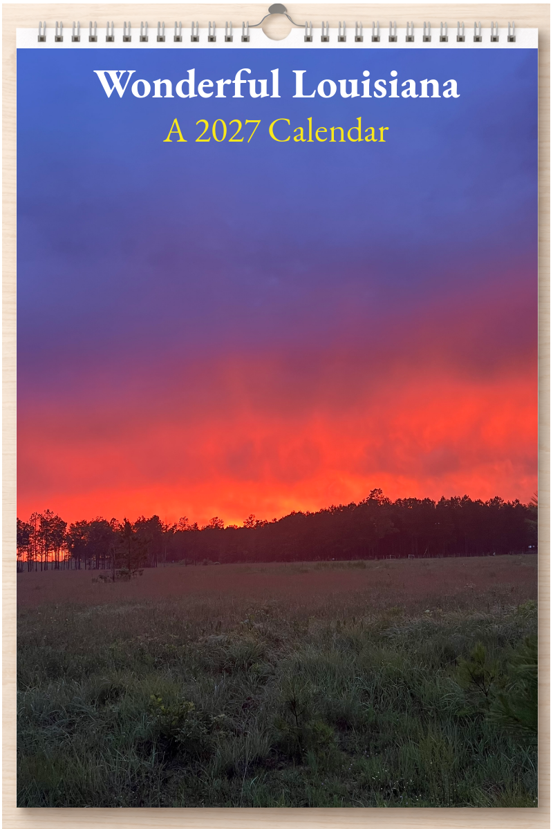 Wonderful Louisiana: A 2027 Calendar