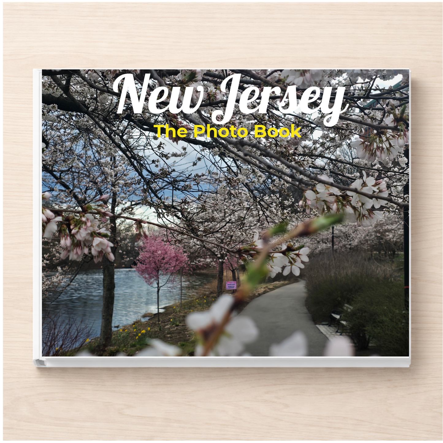 New Jersey: The Photo Book