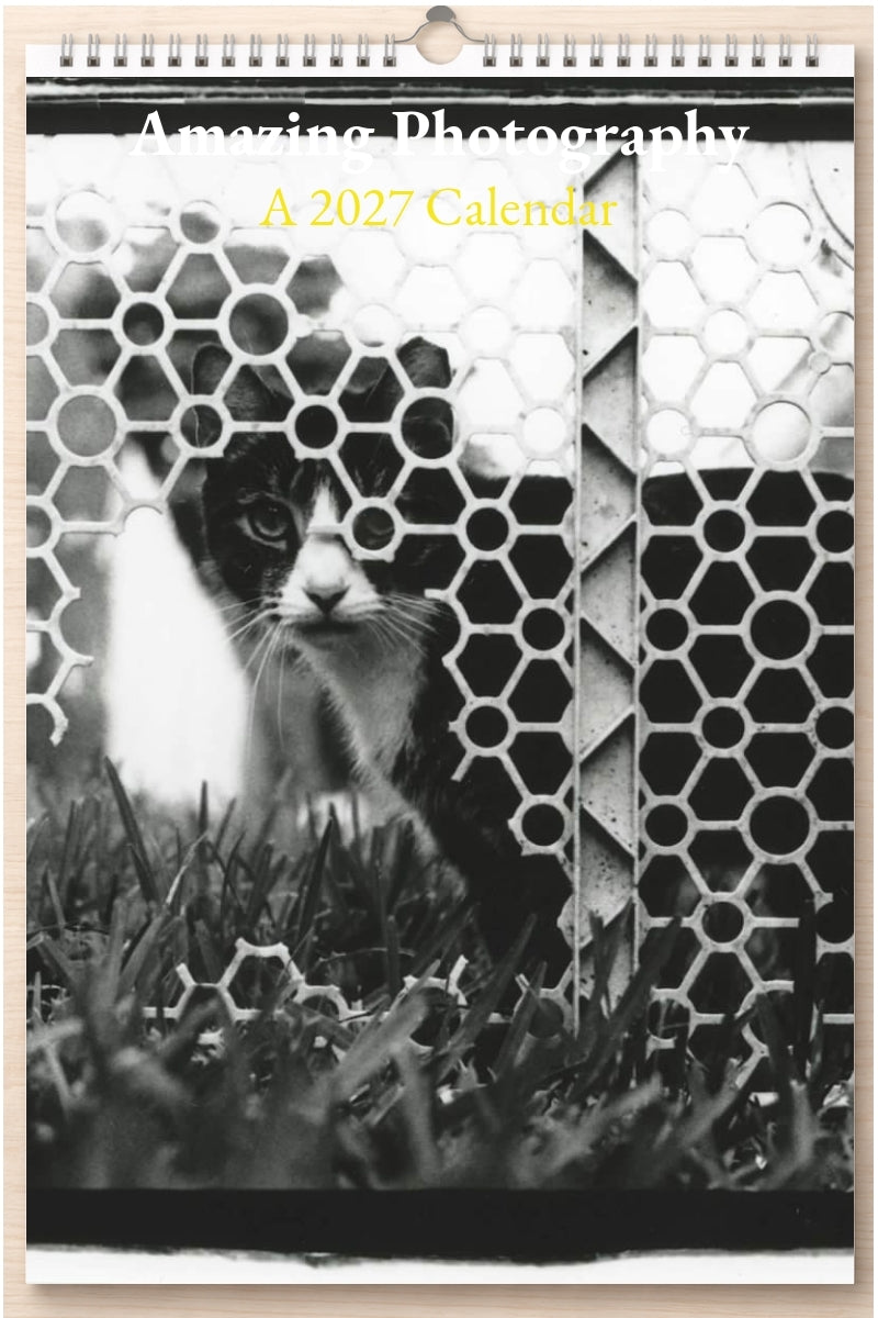Amazing Photography: A 2027 Calendar