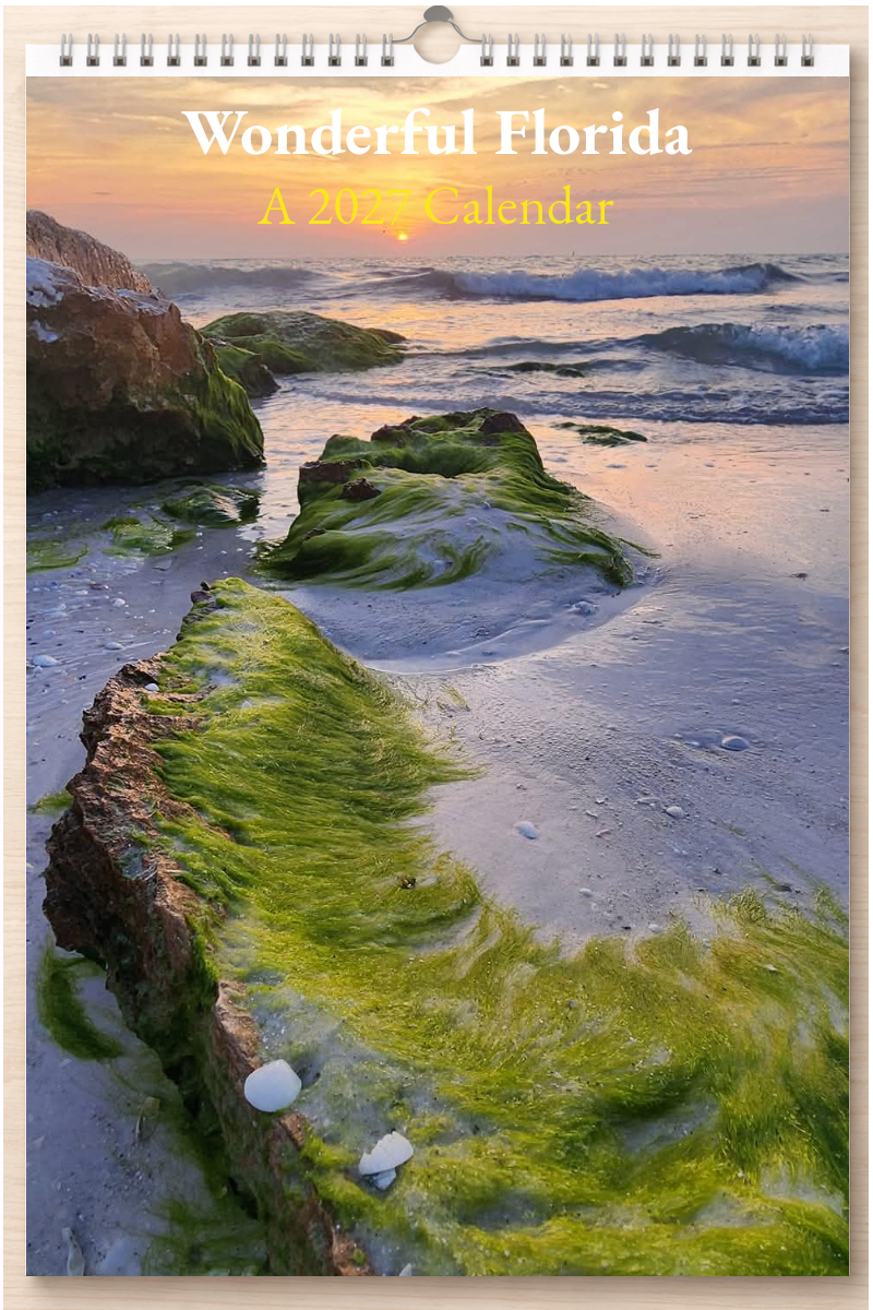 Wonderful Florida: A 2027 Calendar