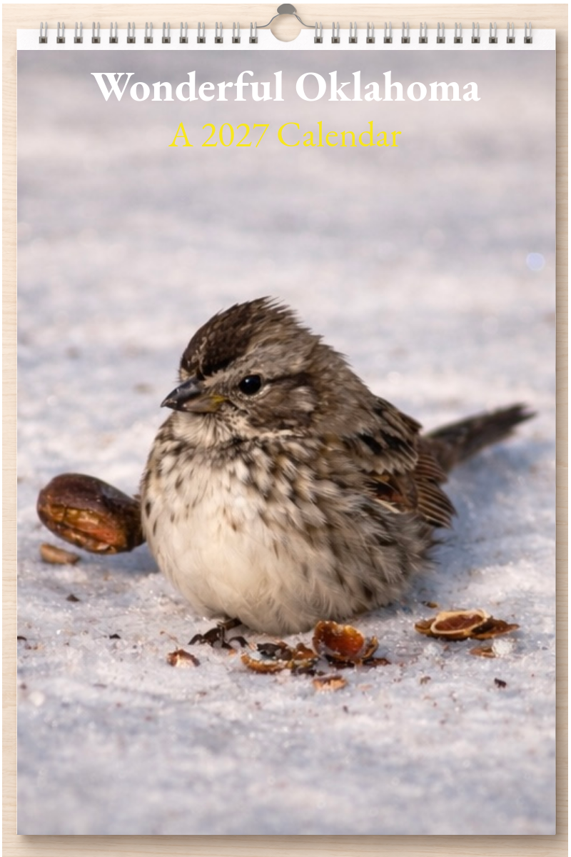 Wonderful Oklahoma: A 2027 Calendar