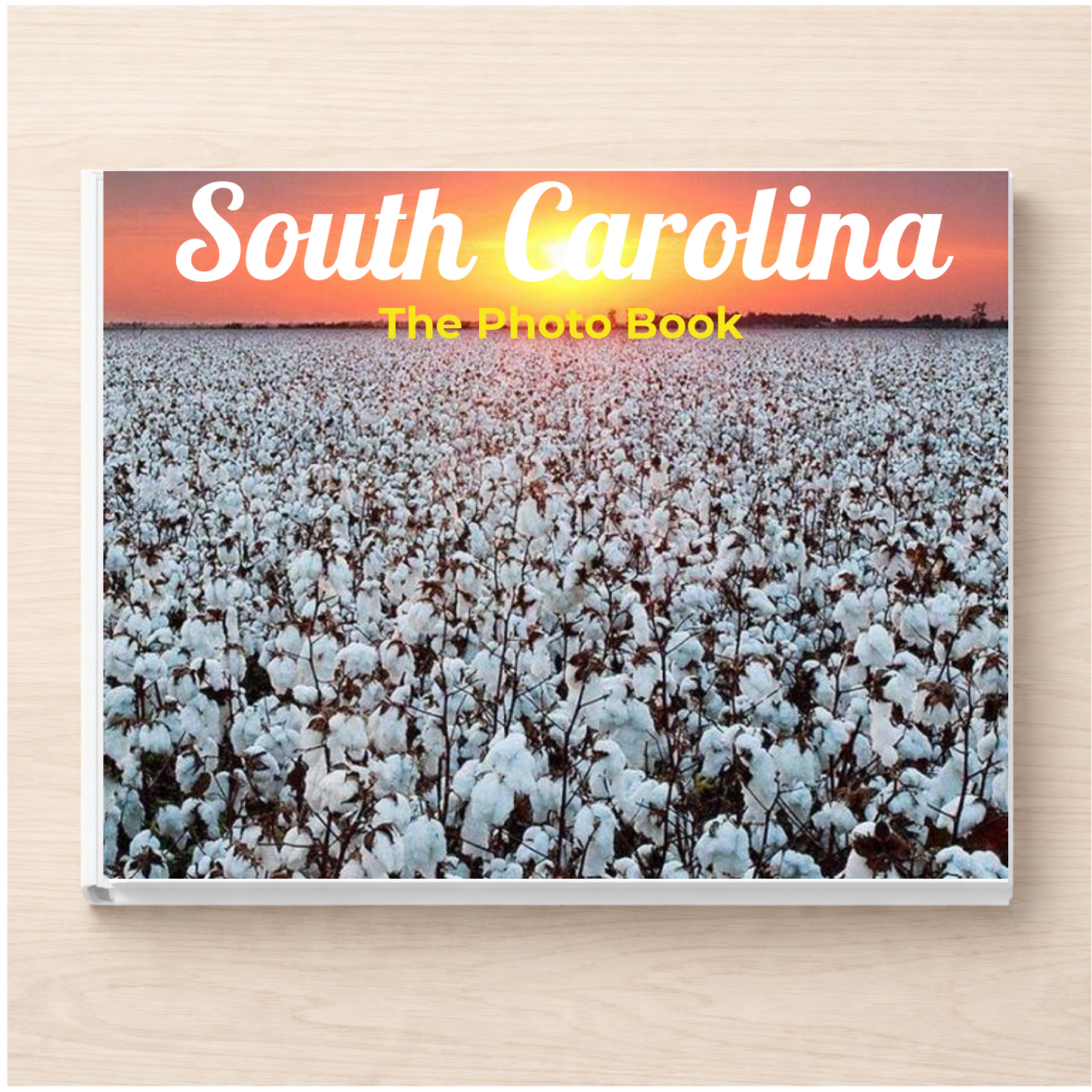South Carolina: The Photo Book