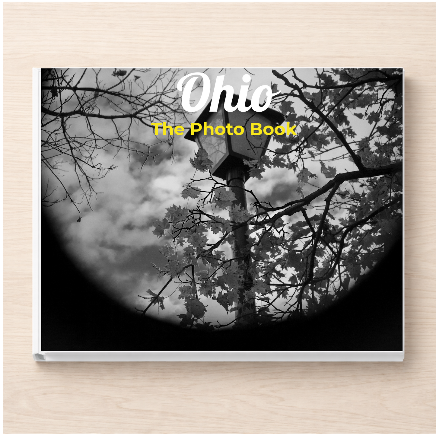 Ohio: The Photo Book