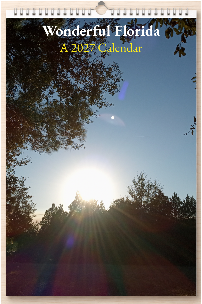 Wonderful Florida: A 2027 Calendar