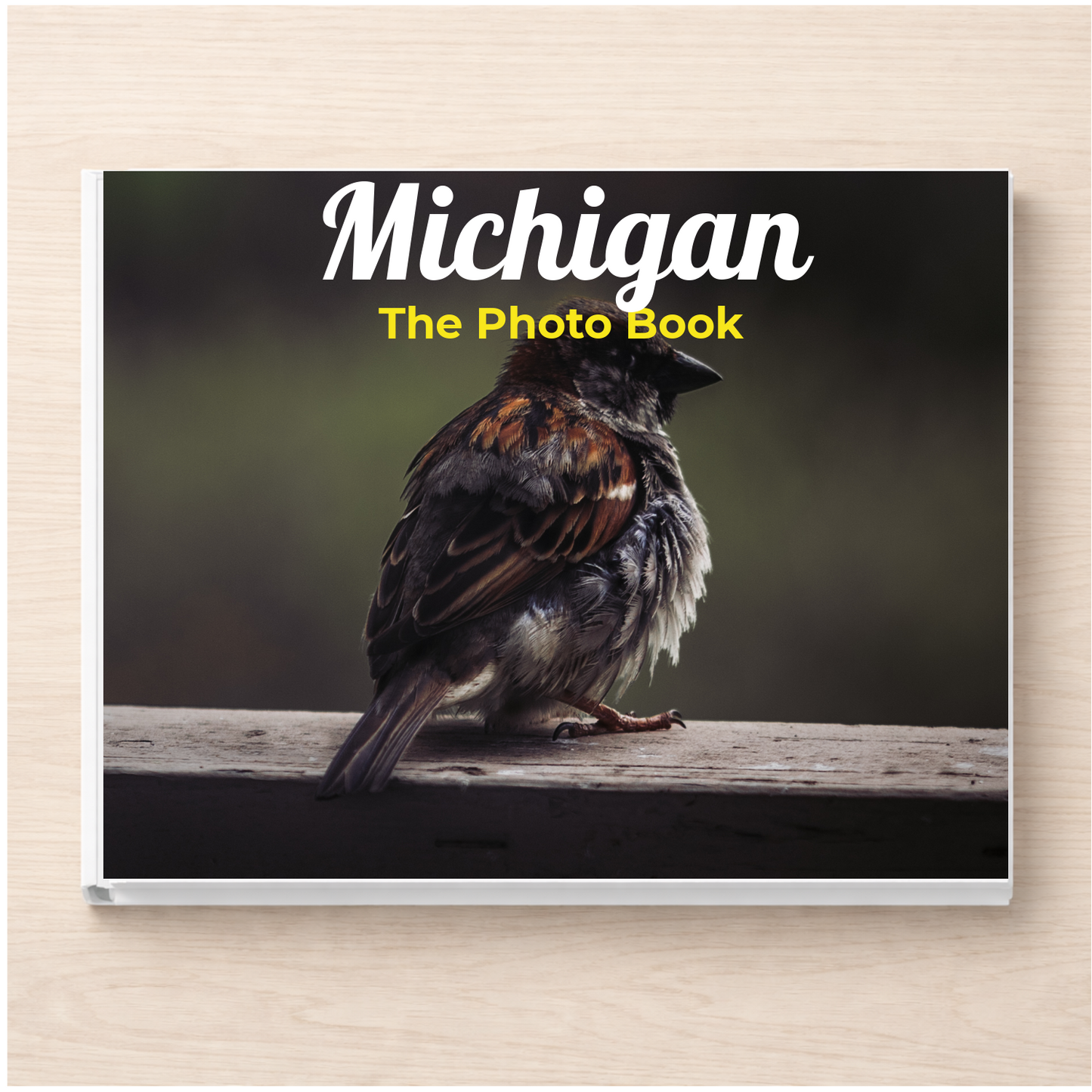 Michigan: The Photo Book