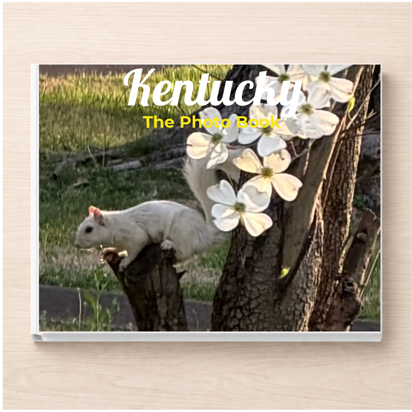 Kentucky: The Photo Book