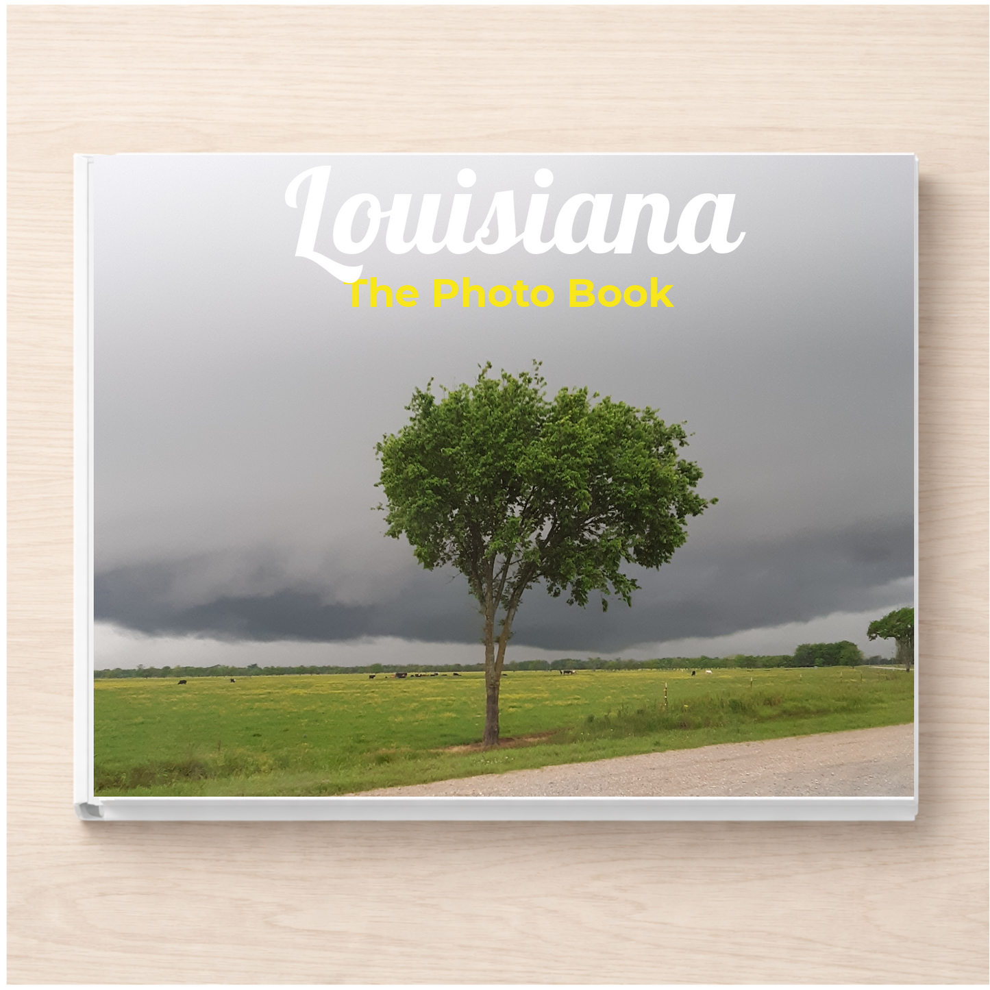 Louisiana: The Photo Book