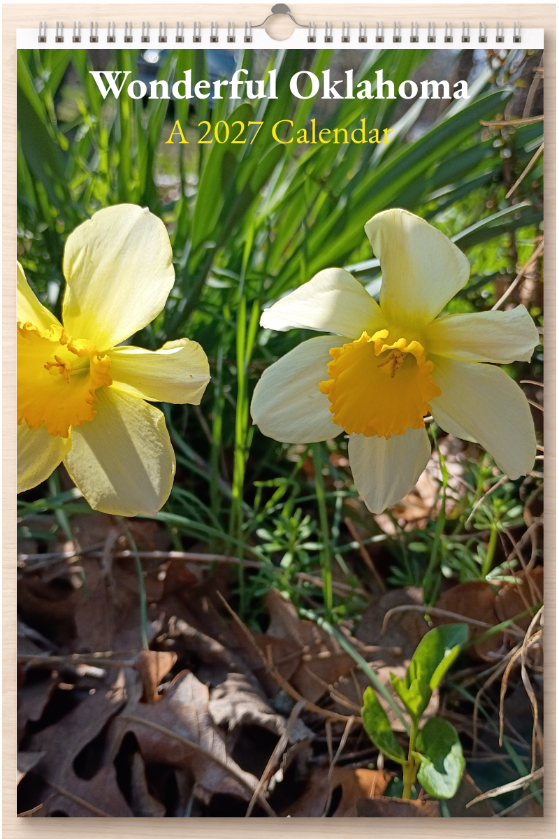 Wonderful Oklahoma: A 2027 Calendar