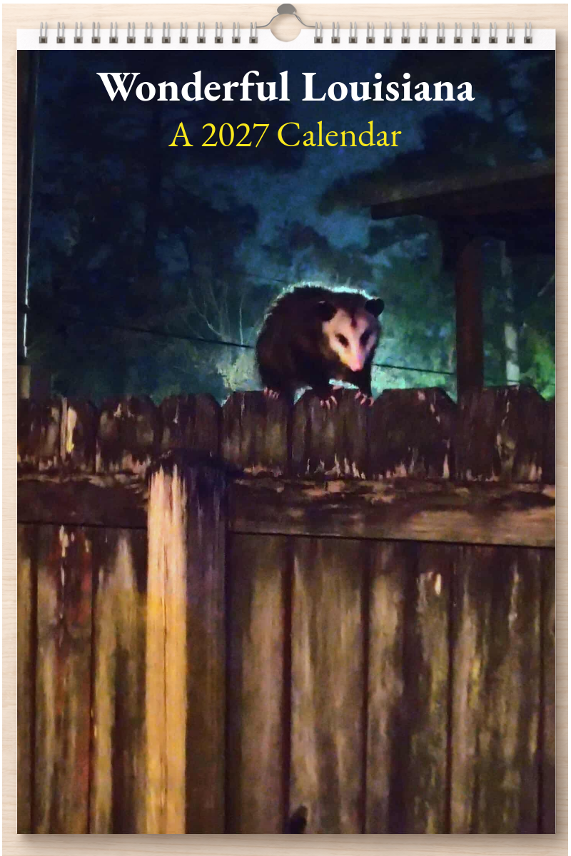 Wonderful Louisiana: A 2027 Calendar