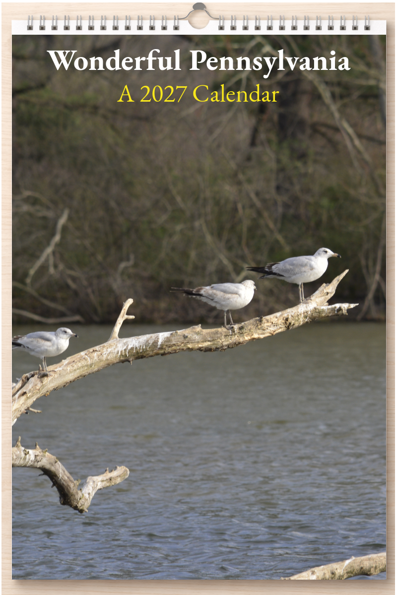 Wonderful Pennsylvania: A 2027 Calendar