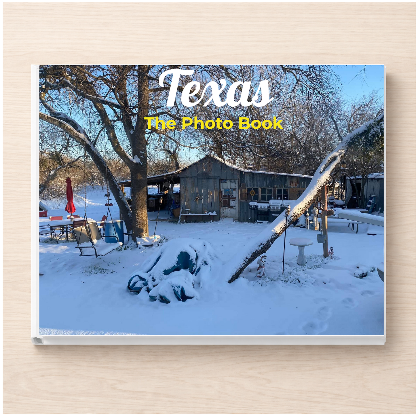 Texas: The Photo Book