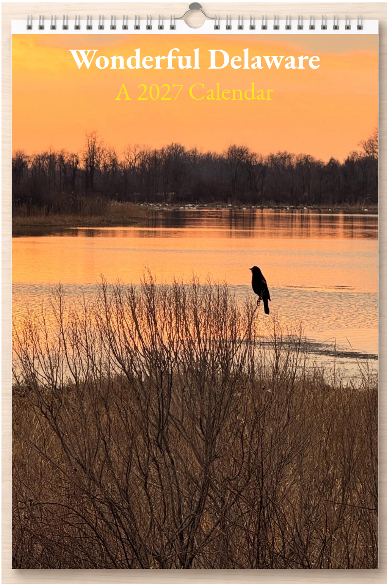 Wonderful Delaware: A 2027 Calendar