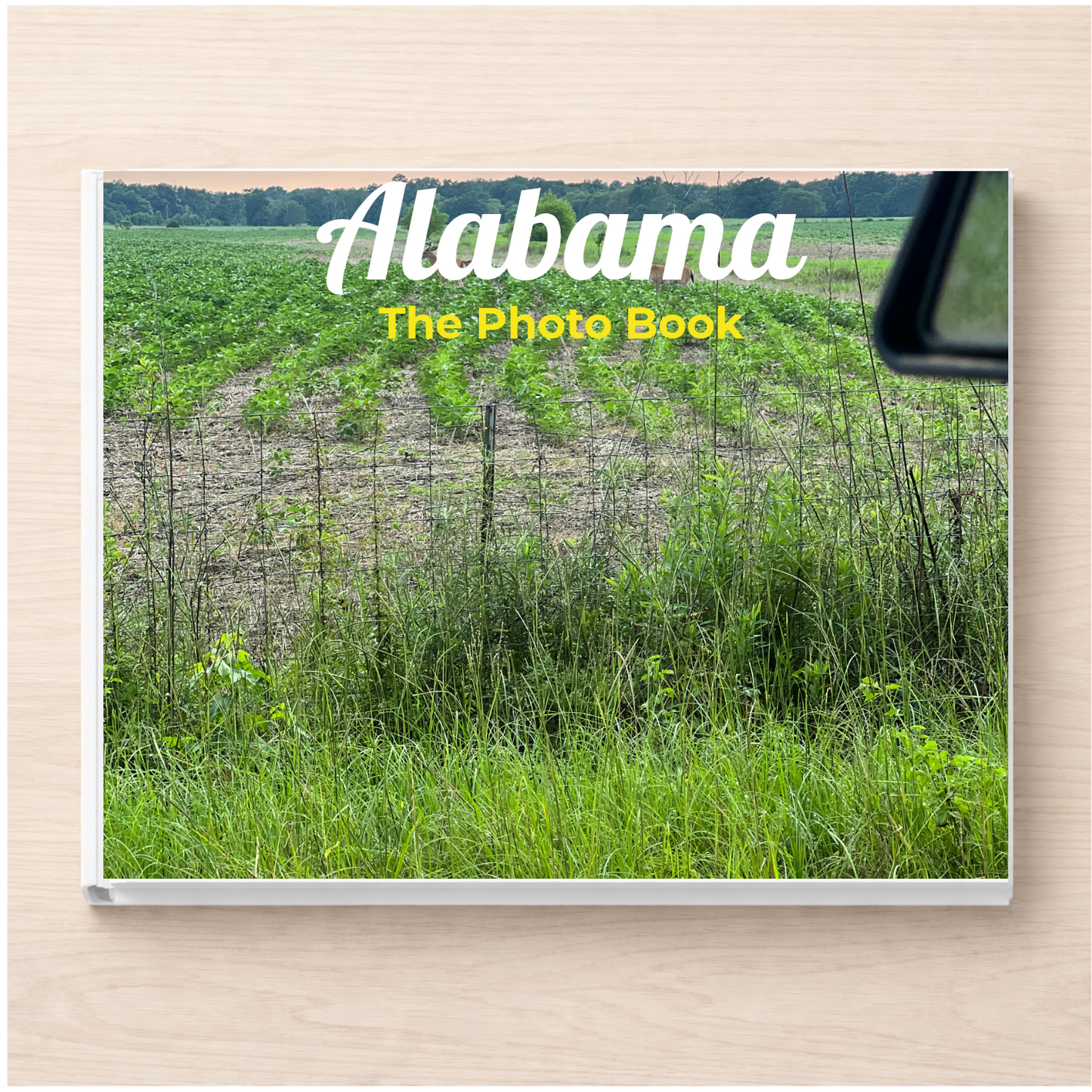 Alabama: The Photo Book