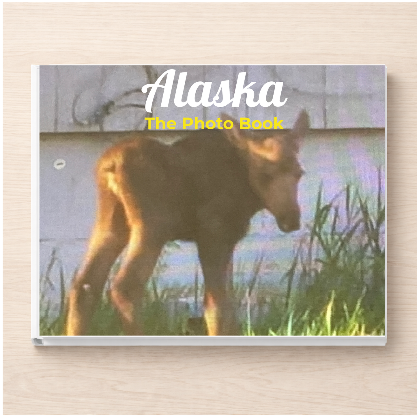 Alaska: The Photo Book