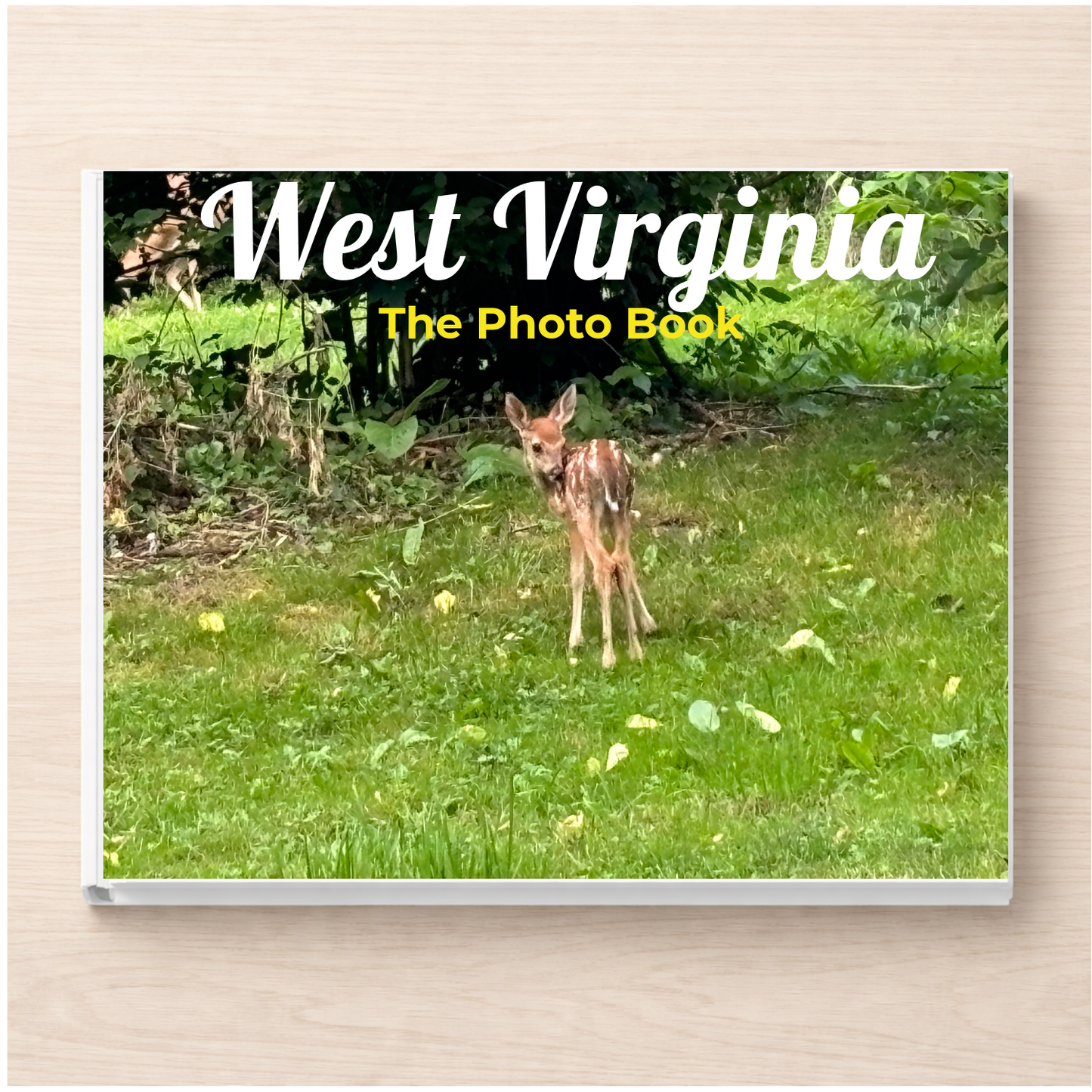 West Virginia: The Photo Book