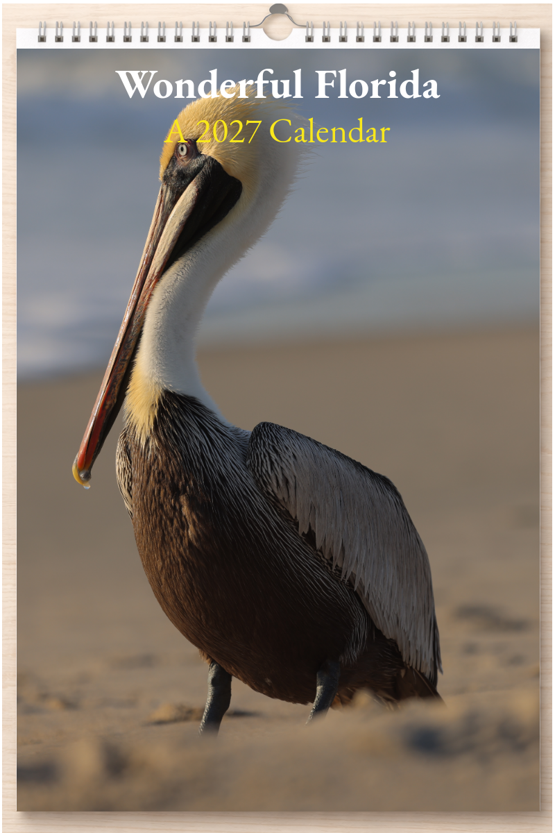 Wonderful Florida: A 2027 Calendar