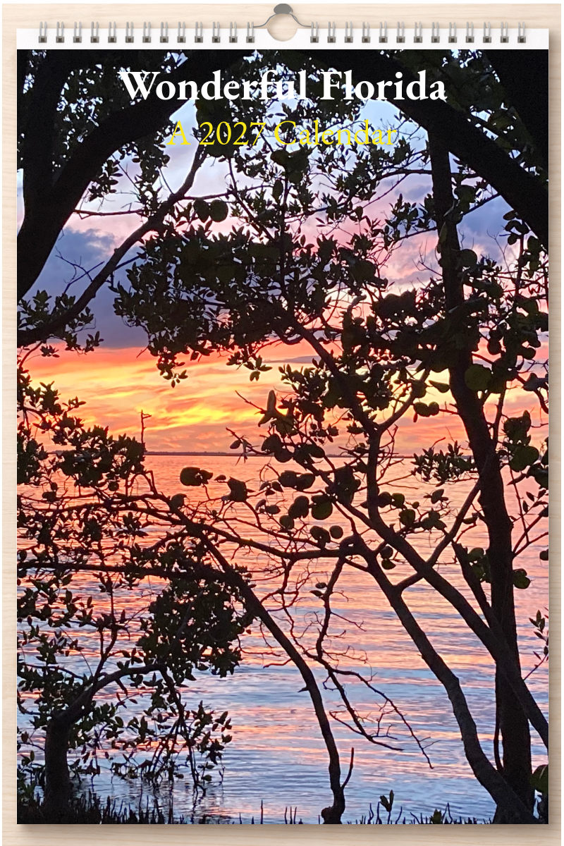 Wonderful Florida: A 2027 Calendar