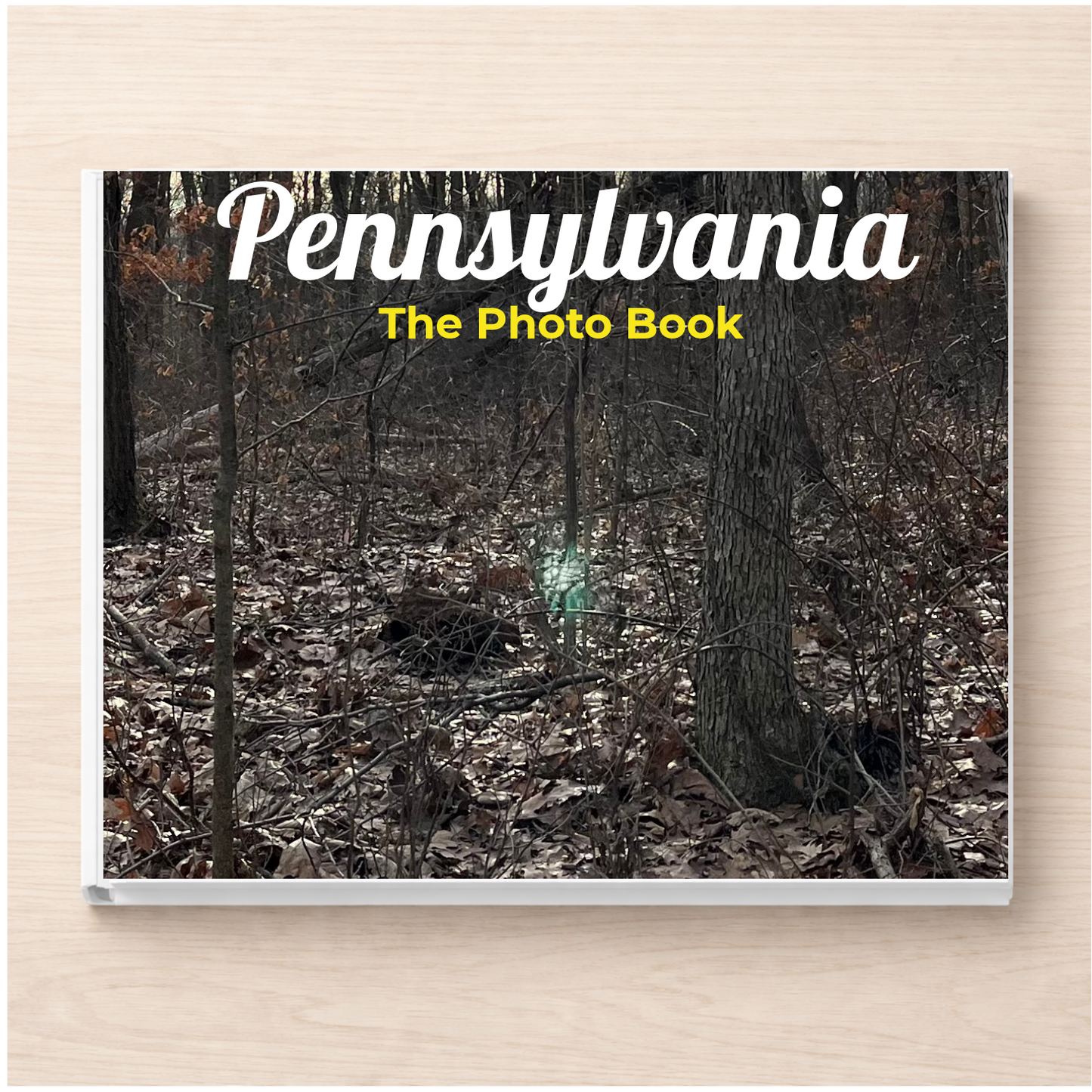 Pennsylvania: The Photo Book