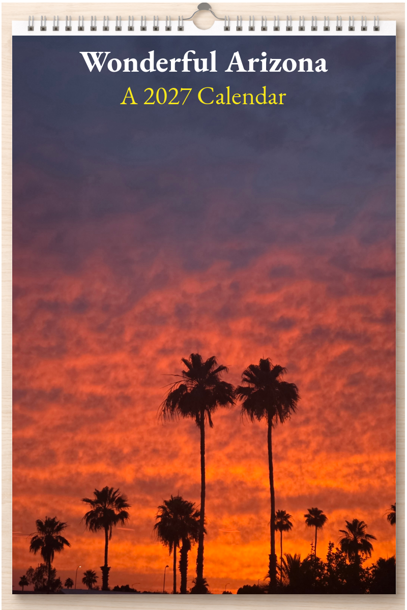 Wonderful Arizona: A 2027 Calendar