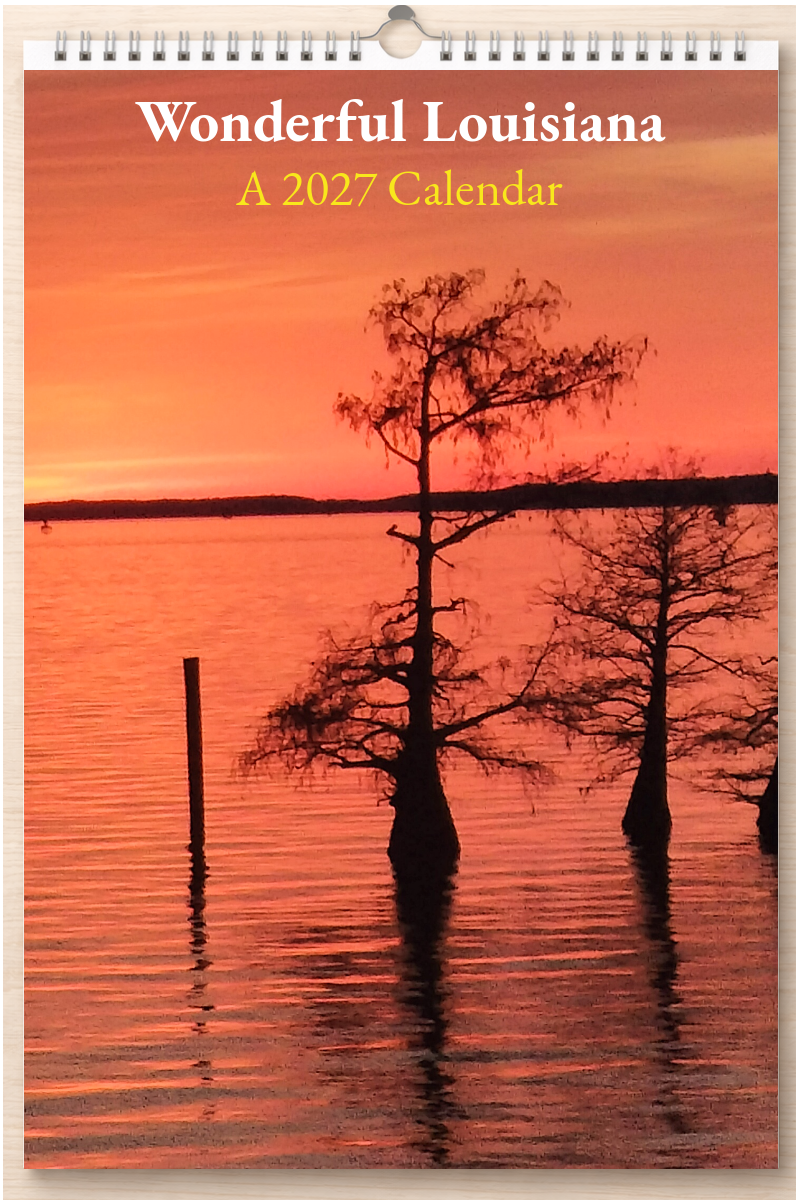 Wonderful Louisiana: A 2027 Calendar