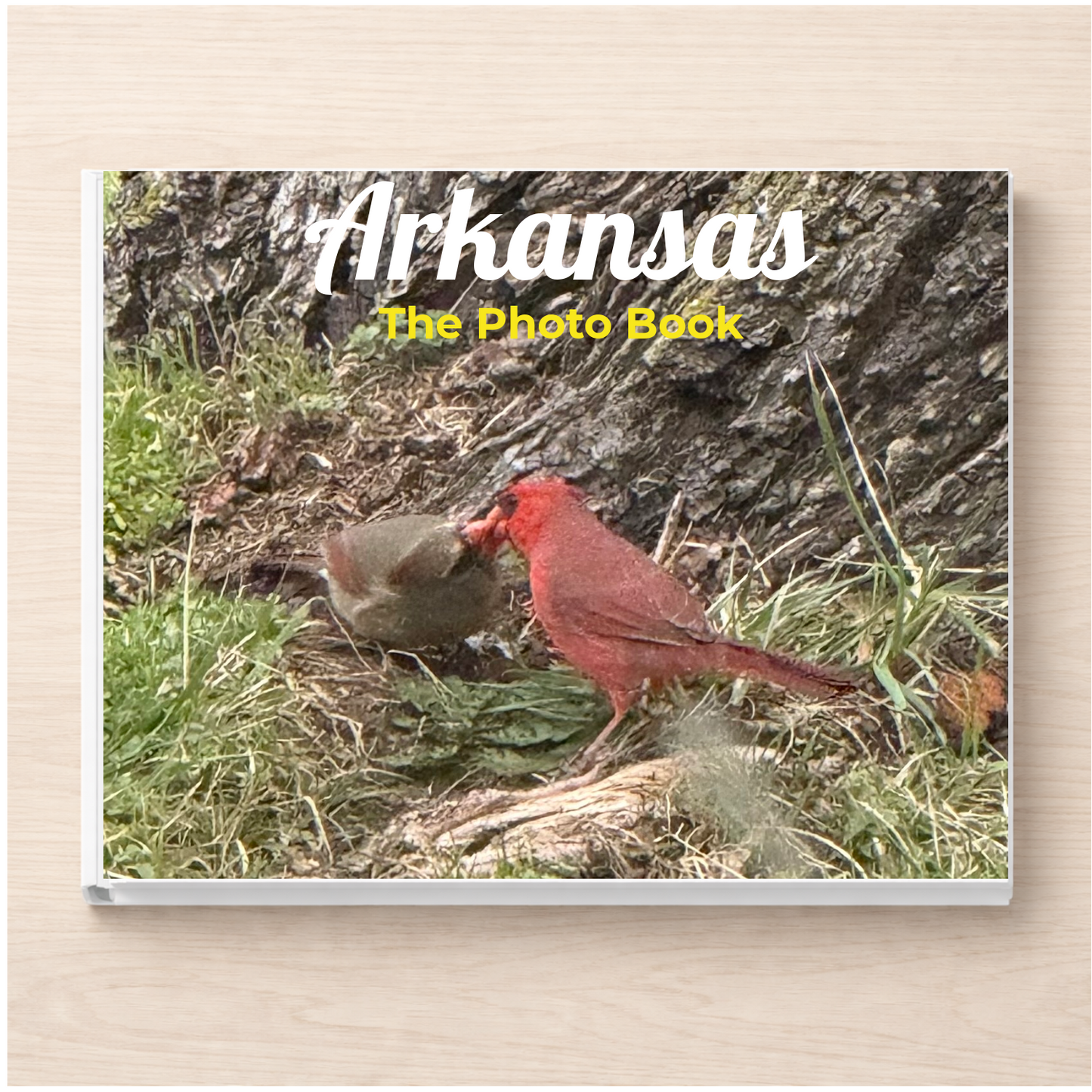 Arkansas: The Photo Book