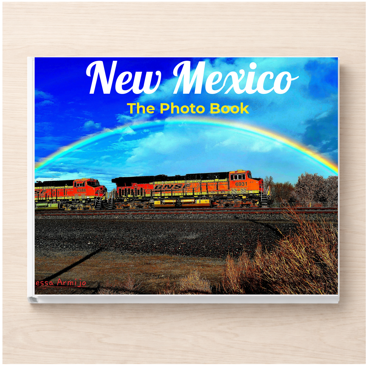 New Mexico: The Photo Book