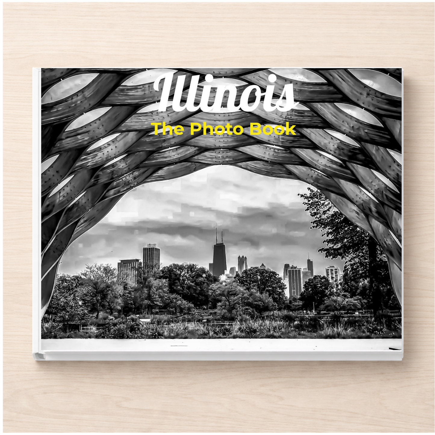 Illinois: The Photo Book