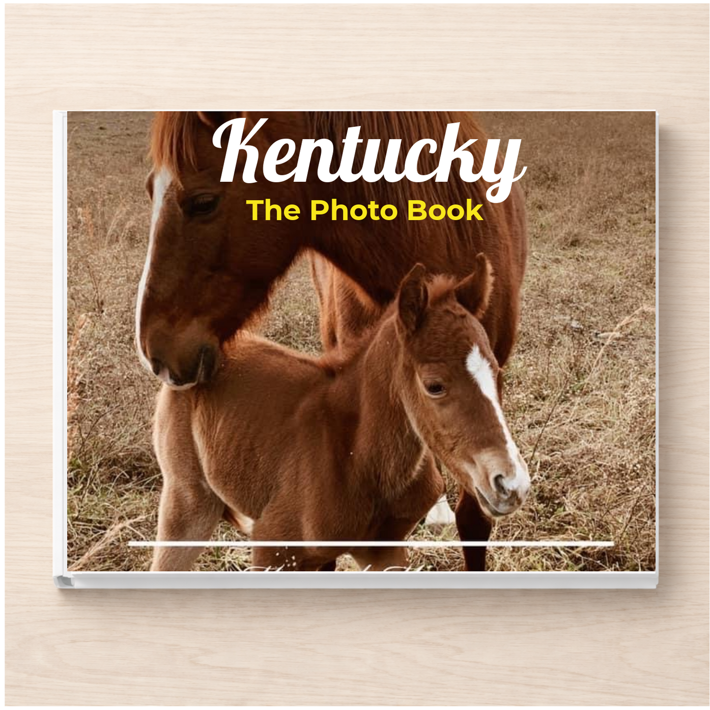 Kentucky: The Photo Book