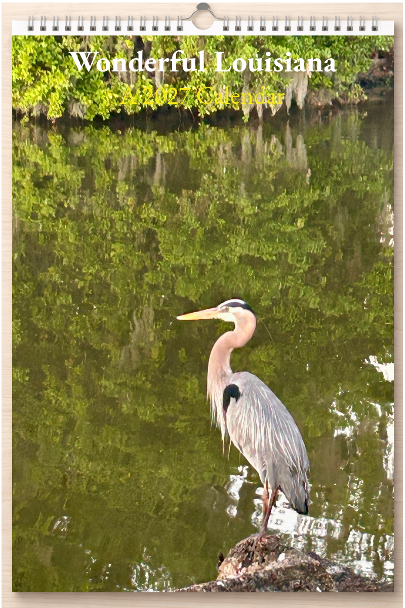 Wonderful Louisiana: A 2027 Calendar
