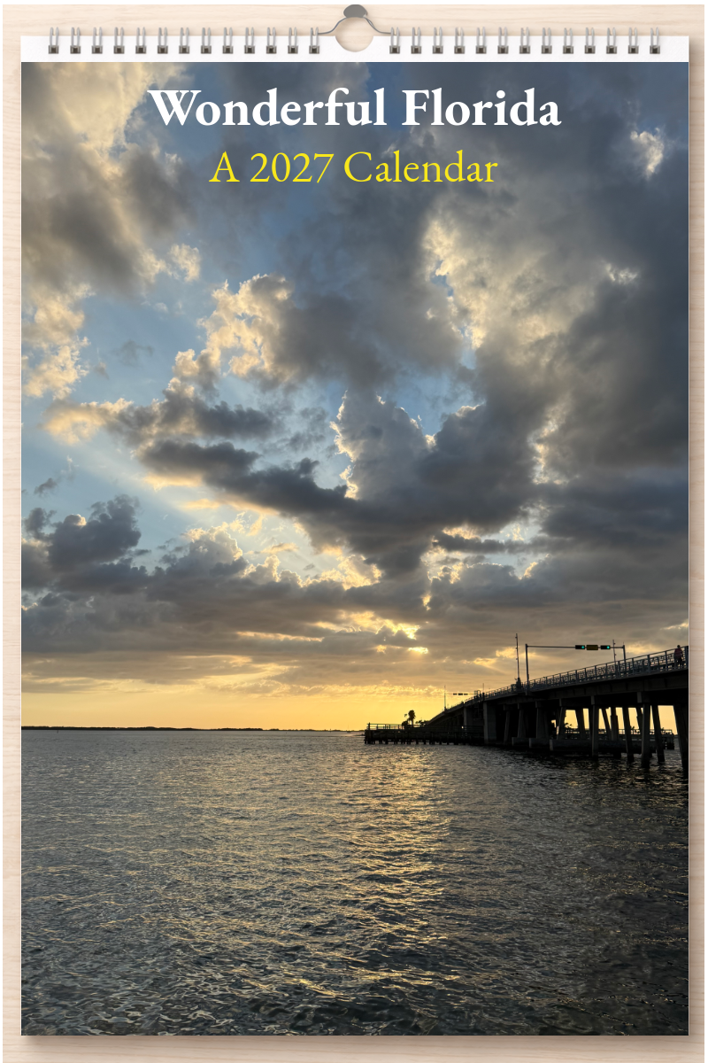 Wonderful Florida: A 2027 Calendar
