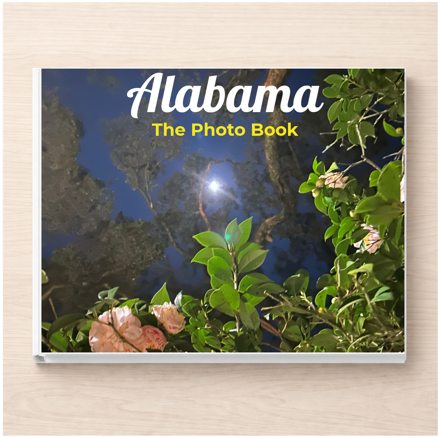Alabama: The Photo Book