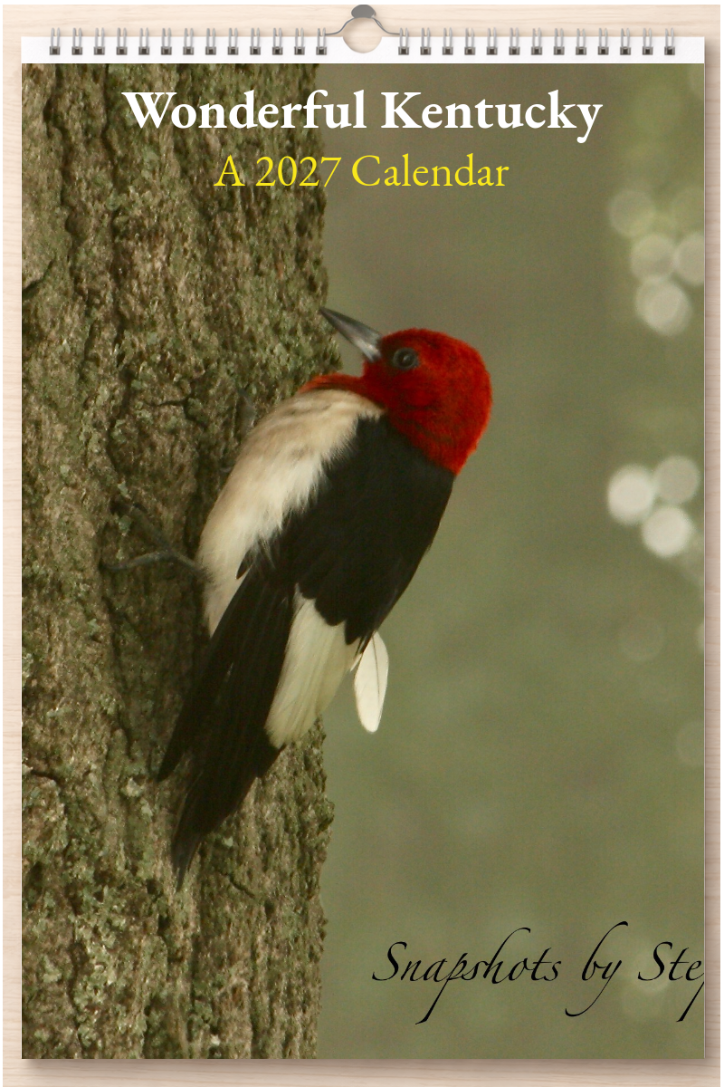 Wonderful Kentucky: A 2027 Calendar