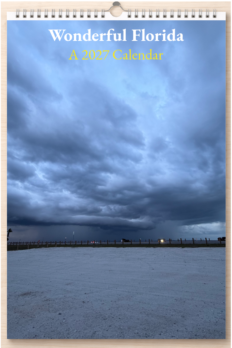 Wonderful Florida: A 2027 Calendar
